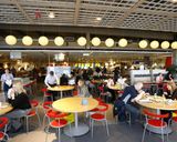 ایکیا ایکیا