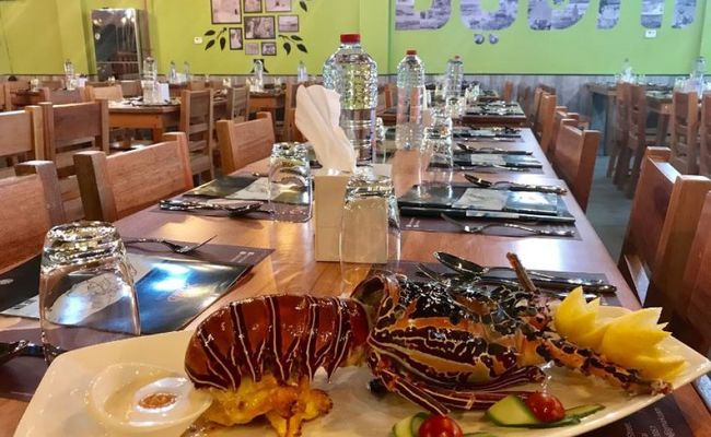 فیش هات فیش هات