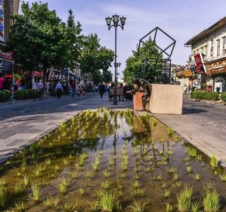 پیاده راه علم الهدی