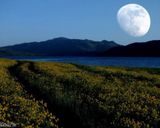 دریاچه نئور دریاچه نئور