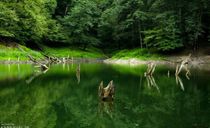 دریاچه چورت دریاچه چورت