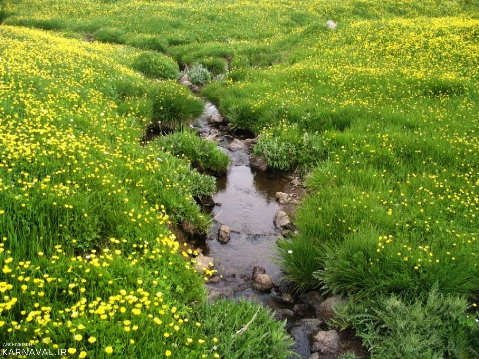 دریاچه نئوم اردبیل