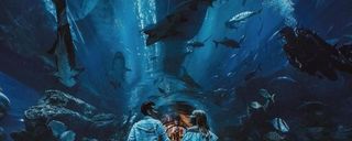 آکواریوم دبی آکواریوم دبی