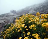 قلعه بابک قلعه بابک