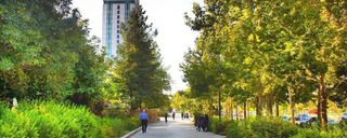 بلوار چمران شیراز بلوار چمران شیراز