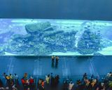 آکواریوم دبی آکواریوم دبی