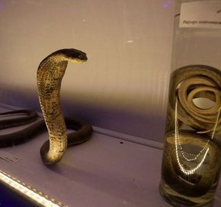 پارک علمی پروفسور بازیما مشهد جانورشناسی | Photo by : Unknown