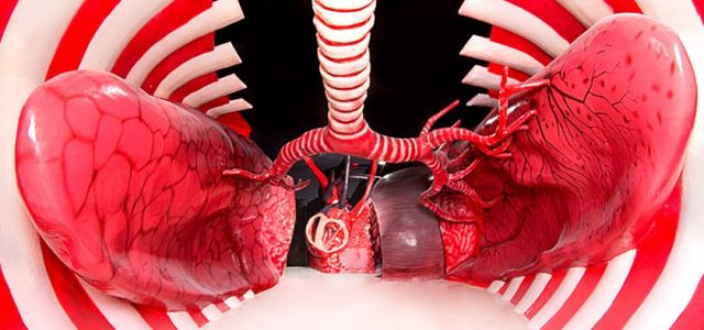 پارک علمی پروفسور بازیما مشهد پارک پروفسوربازیما | Photo by : Unknown