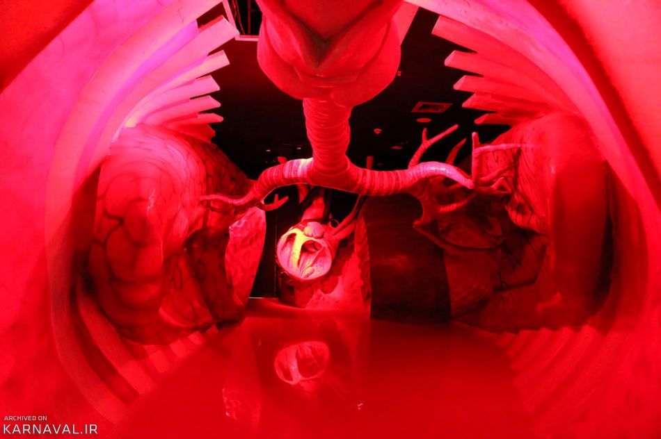 پارک پروفسوربازیما | Photo by : Unknown