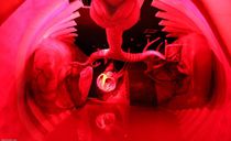 پارک پروفسوربازیما پارک پروفسوربازیما