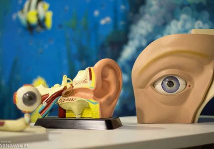 پارک علمی پروفسور بازیما مشهد بدن انسان | Photo by : Unknown