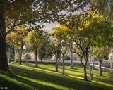 پارک پرواز پارک پرواز