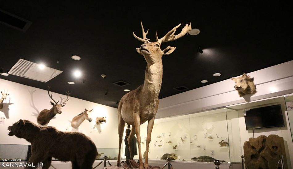 جانورشناسی | Photo by : Unknown