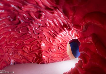 پارک علمی پروفسور بازیما مشهد بدن انسان | Photo by : Unknown