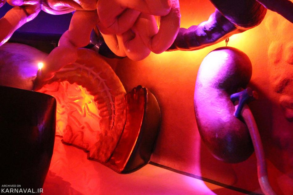 بدن انسان | Photo by : Unknown