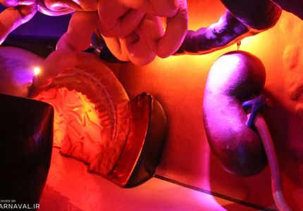 پارک علمی پروفسور بازیما مشهد بدن انسان | Photo by : Unknown