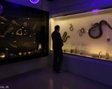 پارک پروفسوربازیما پارک پروفسوربازیما