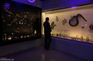 پارک علمی پروفسور بازیما مشهد پارک پروفسوربازیما | Photo by : Unknown