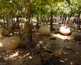 باغ نظر شیراز باغ نظر شیراز