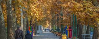 خیابان ولیعصر خیابان ولیعصر