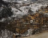 پارک پروفسوربازیما پارک پروفسوربازیما