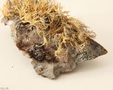 موزه برادران امیدوار موزه برادران امیدوار