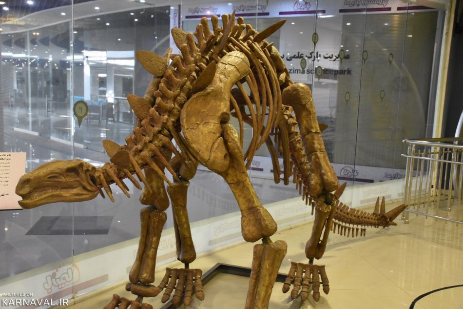 پارک علمی پروفسور بازیما مشهد دیرینه شناسی | Photo by : Unknown