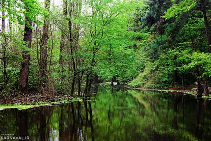 پارک جنگلی سراوان رشت | آدرس ، عکس و معرفی (1401) ☀️ کارناوال