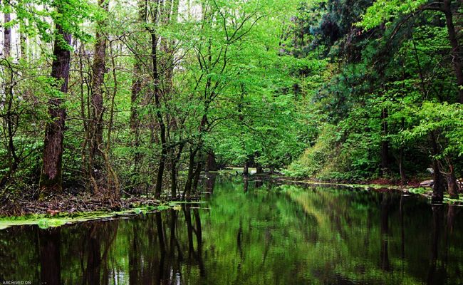 پارک جنگلی سراوان پارک جنگلی سراوان