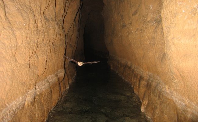 قنات قصبه گناباد قنات قصبه گناباد