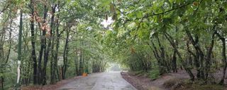 پارک جنگلی سراوان پارک جنگلی سراوان