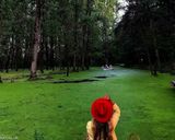 پارک جنگلی سراوان پارک جنگلی سراوان