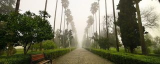 بلوار معلم رامسر بلوار معلم رامسر