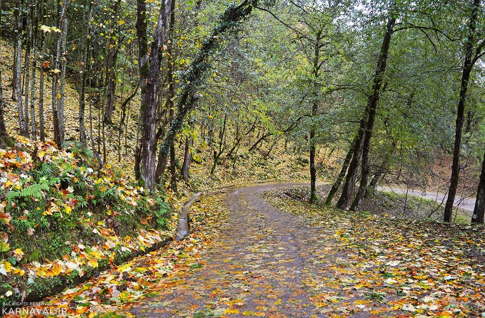 جاده های پاییزی | Photo by : Karnaval