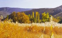 روستای هرانده روستای هرانده