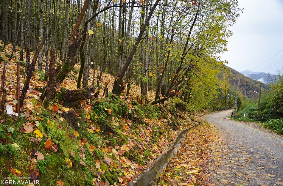 جاده های پاییزی | Photo by : Karnaval