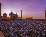مسجد جامع دهلی مسجد جامع دهلی