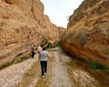 پیاده روی در دره پیاده روی در دره