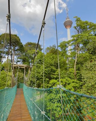 اکو پارک جنگلی کیال اکو پارک جنگلی کیال