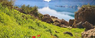 دریاچه شهیون دریاچه شهیون