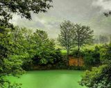 دریاچه گل رامیان دریاچه گل رامیان