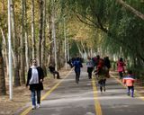 پیاده روی ناژوان پیاده روی ناژوان