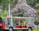 باغ گیاهشناسی باتومی باغ گیاهشناسی باتومی