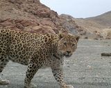 پارک ملی بمو پارک ملی بمو