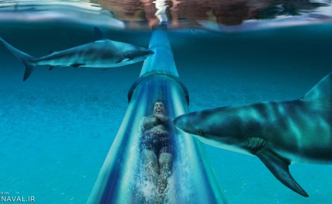 پارک آبی سیام پارک آبی سیام