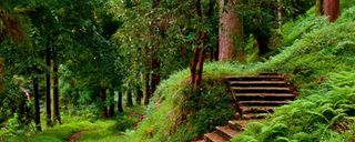 باغ گیاهشناسی باتومی باغ گیاهشناسی باتومی