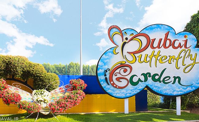 باغ پروانه دبی باغ پروانه دبی