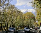 خیابان ولیعصر خیابان ولیعصر