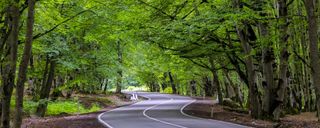 پارک ملی تفلیس پارک ملی تفلیس