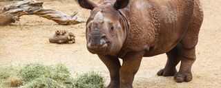 باغ وحش باغ وحش